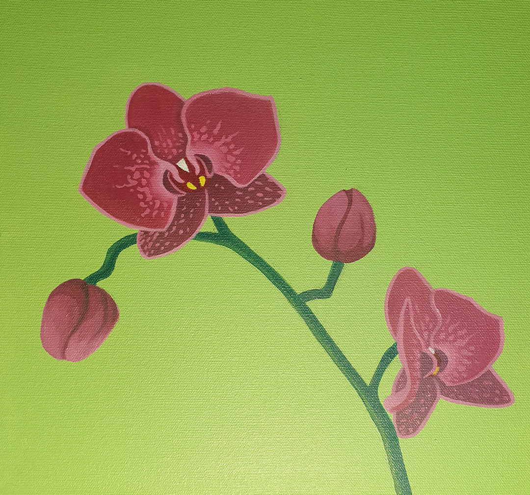 <span>Orchids</span><i>→</i>