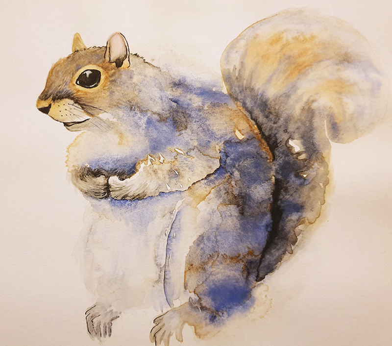<span>Squirrel</span><i>→</i>